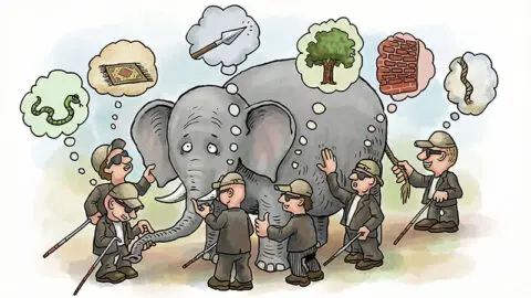 Elephent Test